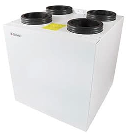 ECO 360